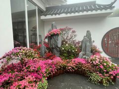 -梧桐山风景名胜区