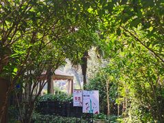 -野蔓果·山野菜(西湖景区·龙井茶田店)