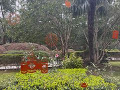 -维乐口腔(格林门诊长宁店)