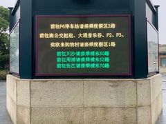 -迪士尼乐园停车场