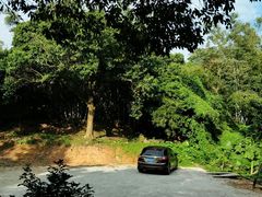 -彩虹桥宠物火化殡葬善终服务(金乐大厦店)