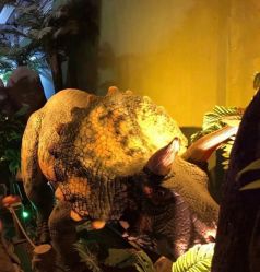 -恐龙探索乐园(磁器口店)