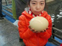 -万源龙顺度假庄园生态观光园