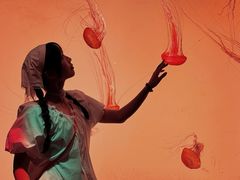 -沈阳海洋探索中心