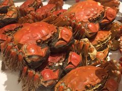 -上海虹桥西郊假日酒店