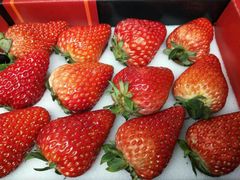 -盒马鲜生(莱蒙都会店)