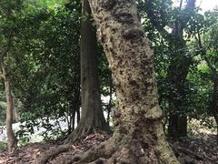 -普陀山风景区-佛顶山