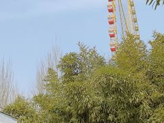 -石家庄市动物园