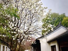 -绿杨馄饨临顿路店