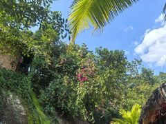 -海南槟榔谷黎苗文化旅游区