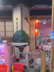 -卡通尼乐园(新达汇三林店)