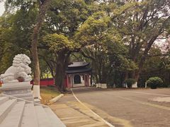 -福清灵石山国家森林公园