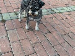 -玉园烧烤·海鲜辣炒