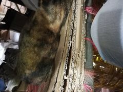 -老地方面馆(思南路店)