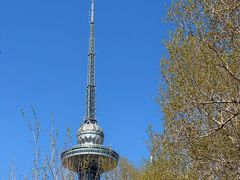 -龙塔