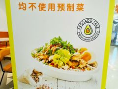 -油梨树 AVOCADO TREE(亮马桥店)