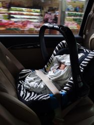 -海豚湾高端月子会所(黄浦店)