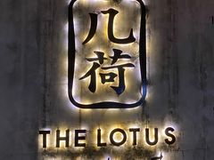 -几荷·恰似故人来(秀水广场店)