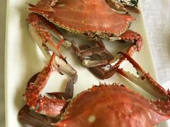 特色手工鲅鱼水饺-宾朋海鲜美食餐厅·特色美食(兴海路店)