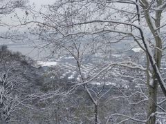-紫金山天文台