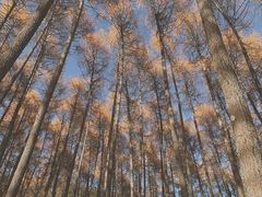 -硗碛藏寨·神木垒景区