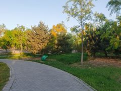 -东郊湿地公园