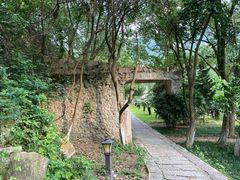 -大罗山风景区