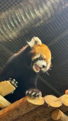 -Zoolung Zoolung动物主题公园(海信广场店)