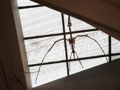 -重庆自然博物馆(新馆)