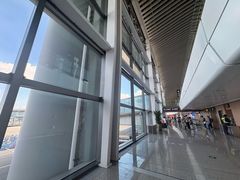 -青岛胶东国际机场