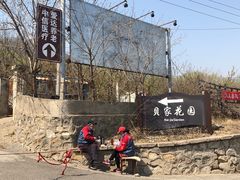 -北京鹫峰国家森林公园