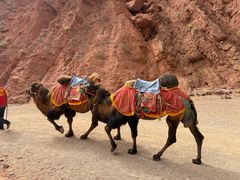 -天山神秘大峡谷