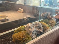 -花时·炭火烧肉(东百中心A馆店)