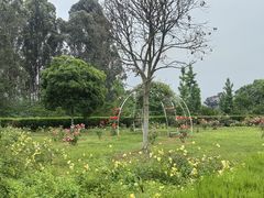 -都江堰玫瑰花溪谷