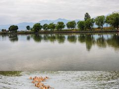 -野鸭湖国家湿地公园