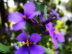 -停车场(临桂路)