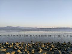 -深圳湾公园(南山区)