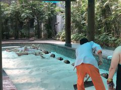 -龙达温泉生态城