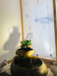 -溢美古法抗衰