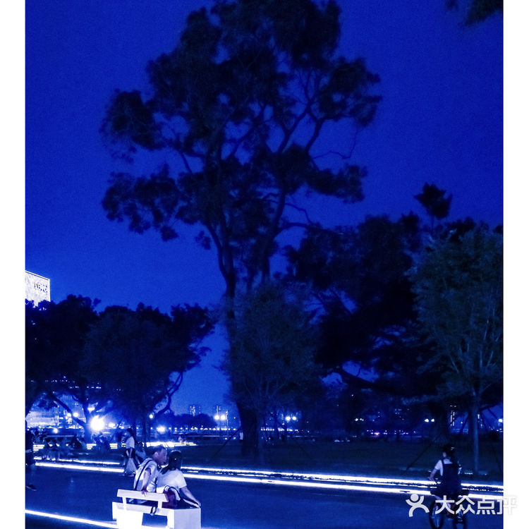 广州旅行：白鹅潭边上夜景超美的0元公园