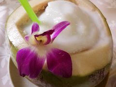 -Jungle Kitchen