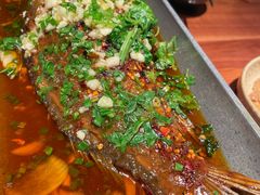 香辣炝锅鱼-树厨地道黔菜(凯里韶山南路店)