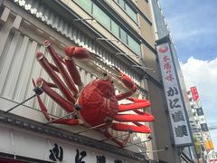 -蟹道乐(道顿堀本店)