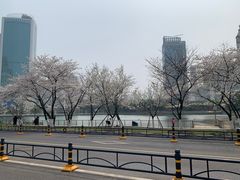 -西北湖绿化广场