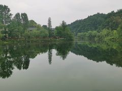 -常德桃花源景区