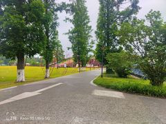 -黄海国家森林公园