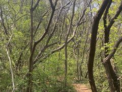-南山风景名胜区