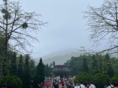 -鼎香皇高佬苏裹蒸粽