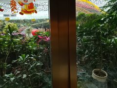 -花之城