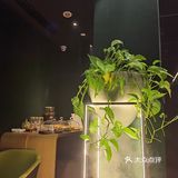 上海商城里的完美Spa体验